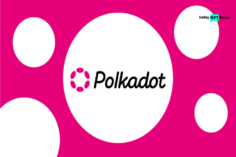Polkadot’s Green Blockchain Credentials Shine with Upcoming DOTphin Launch